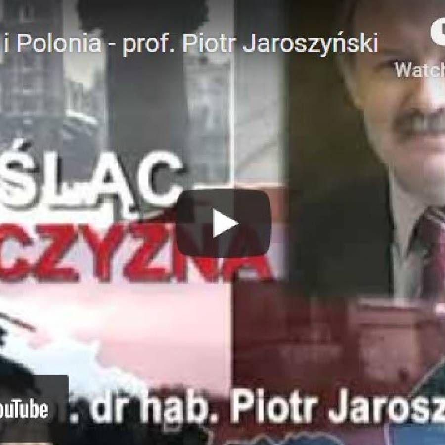 Wybory i Polonia