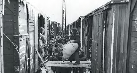 Przeładowanie repatriantów wraz z ich dobytkiem z wagonów kolei szerokotorowej do wąskotorowej. 1946 r.